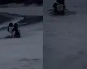 Cặp đôi nứng lồn đụ nhau ngày tại bãi biển giữa chốn đông người